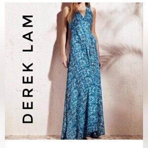 Derek Lam for Design Nation Sleeveless Maxi Dress spring summer vacation